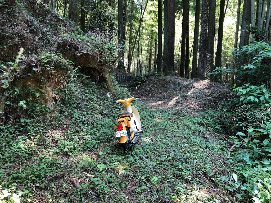 f:id:ngxyh754:20190612103339j:image