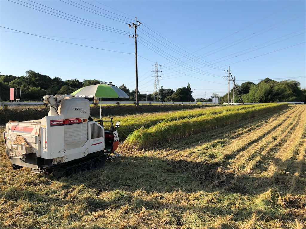 f:id:ngxyh754:20211018222545j:image