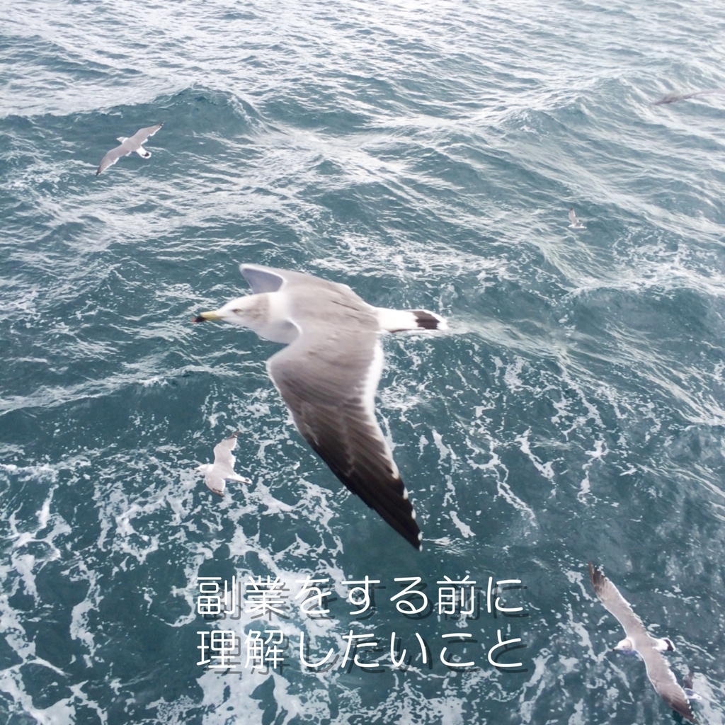 f:id:ngyblog:20190122002721j:plain f:id:ngyblog:20190122002721j:plain
