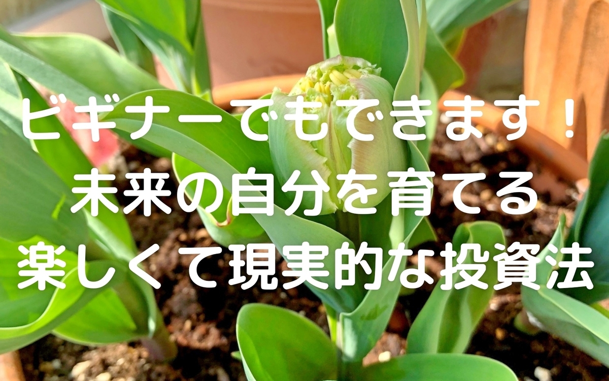 f:id:ngyblog:20190410003018j:plain