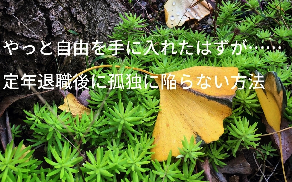 定年後の孤独タイトルイメージ