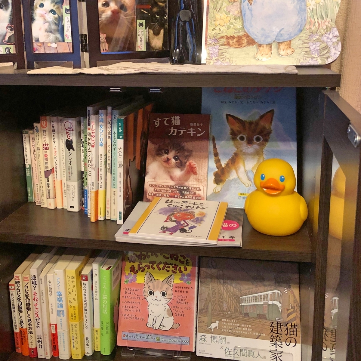 本棚の中のイメージ