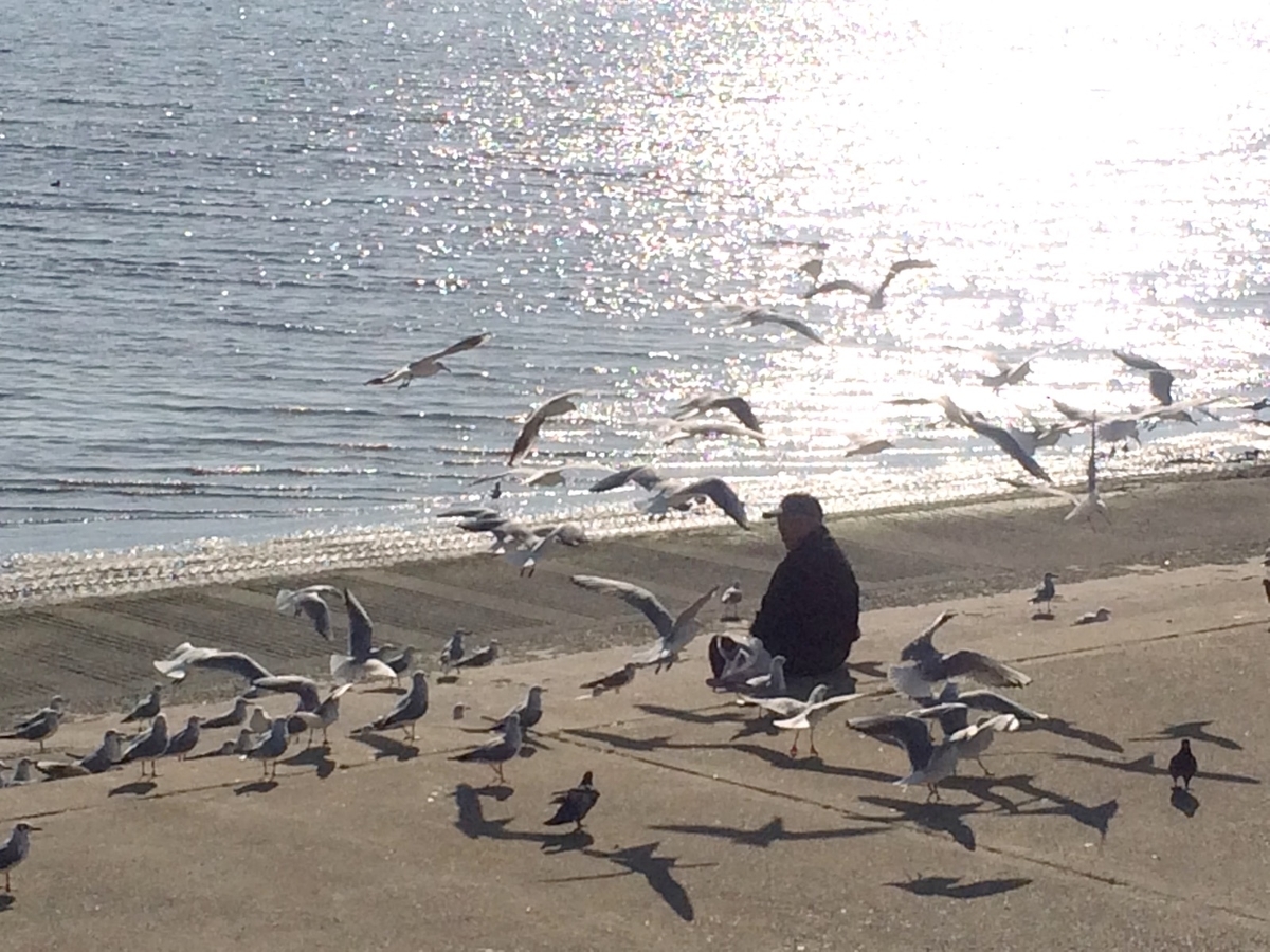 海辺の風景イメージ