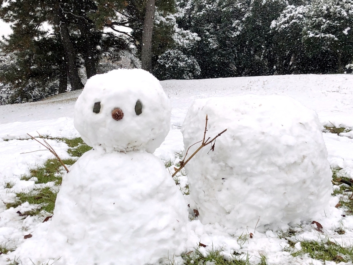 2021年の雪だるまimage