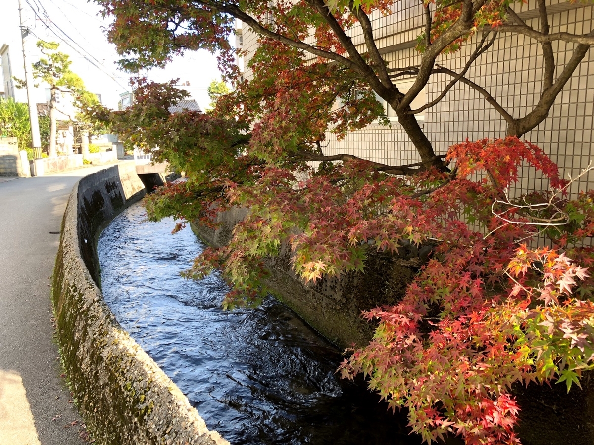 秋の金沢の水路image
