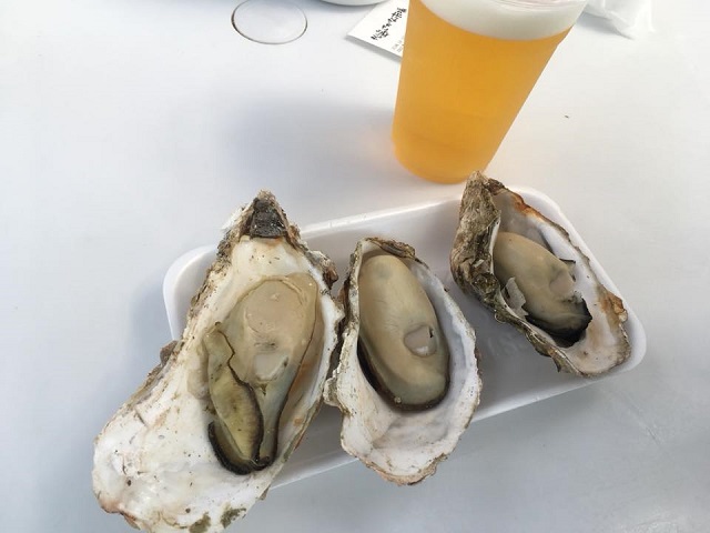 f:id:ngzm:20180628113348j:plain f:id:ngzm:20180628113348j:plain