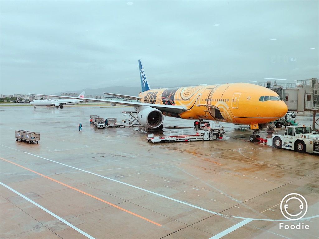 f:id:nhao0514:20180615032135j:image f:id:nhao0514:20180615032135j:image
