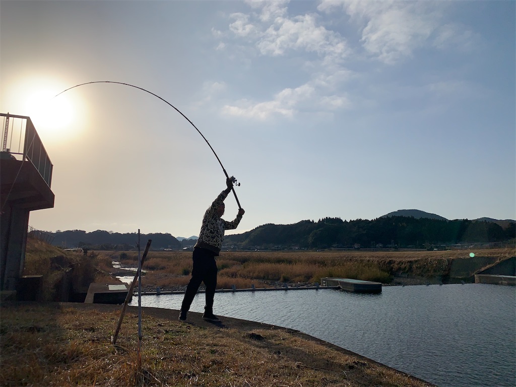 f:id:nharuguchi:20220113164824j:image f:id:nharuguchi:20220113164824j:image