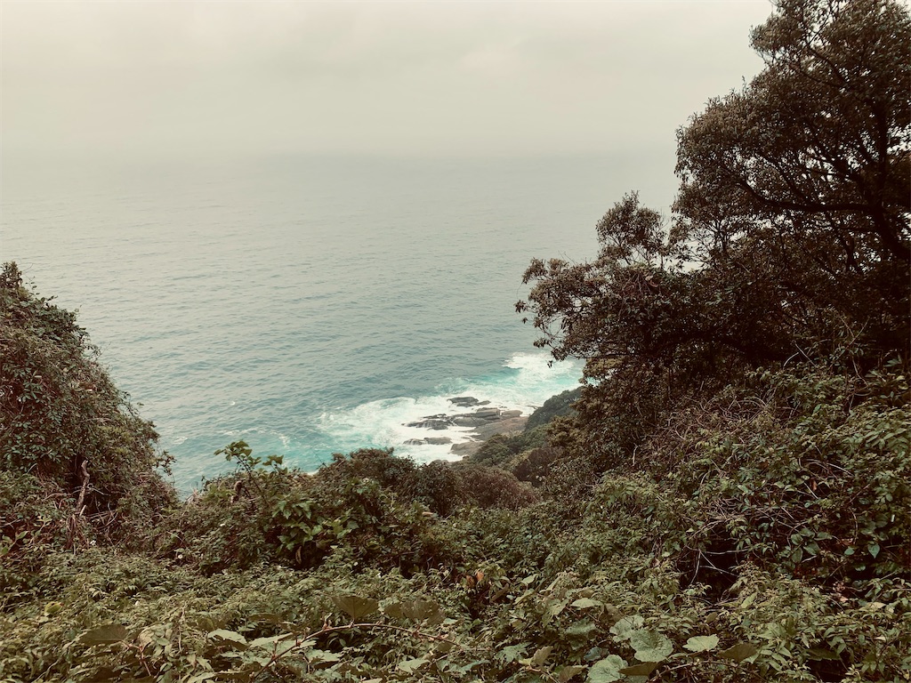 f:id:nharuguchi:20220130110736j:image f:id:nharuguchi:20220130110736j:image