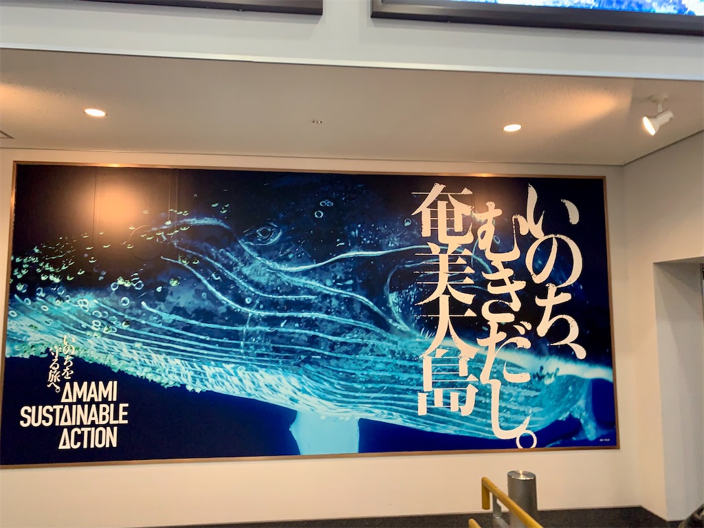 f:id:nharuguchi:20221230205636j:image f:id:nharuguchi:20221230205636j:image