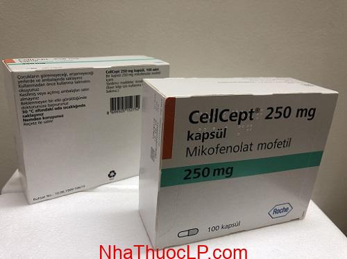 f:id:nhathuoclp:20200818181818j:plain