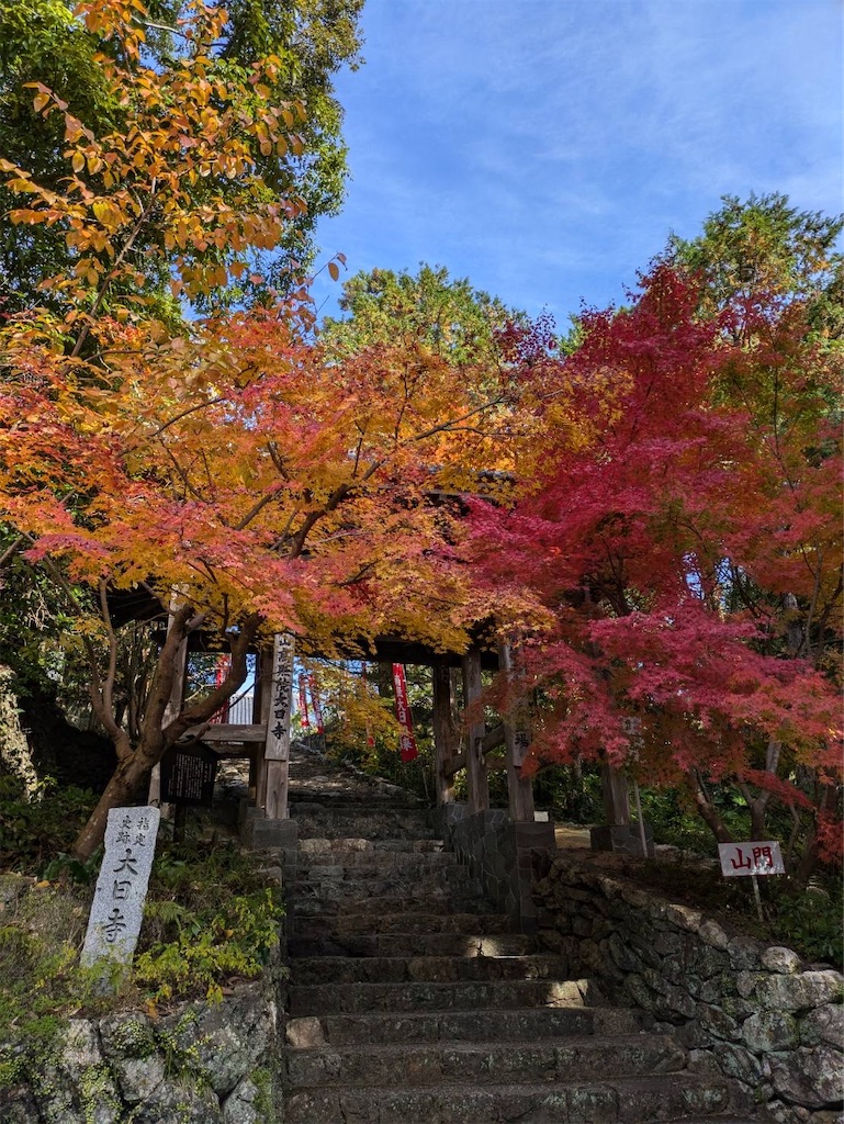 f:id:nhiroku:20241213194408j:image