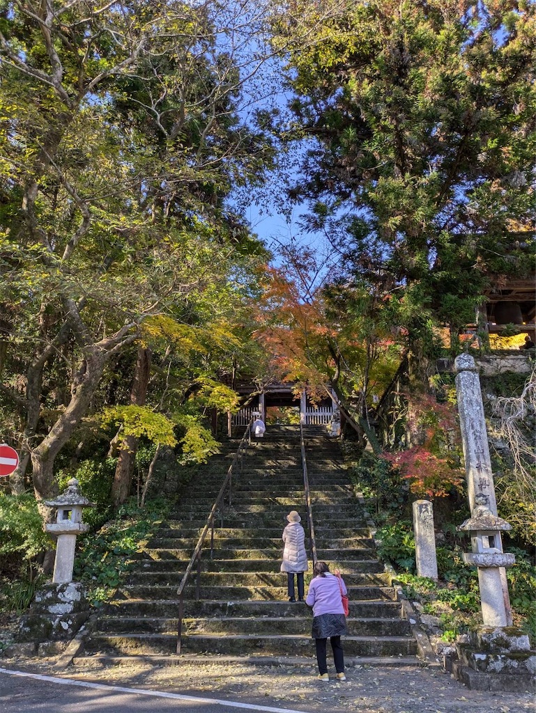 f:id:nhiroku:20241214175049j:image