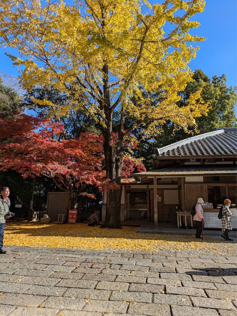 f:id:nhiroku:20241214175053j:image