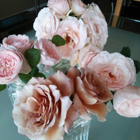 f:id:nhrj:20130522103251j:image