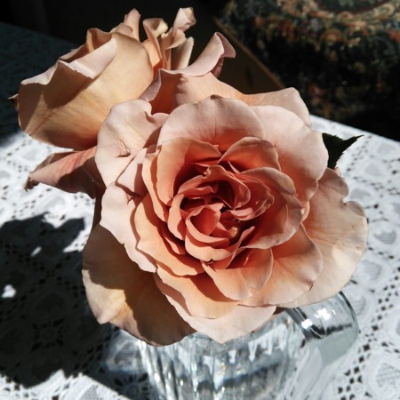 f:id:nhrj:20130522111509j:image