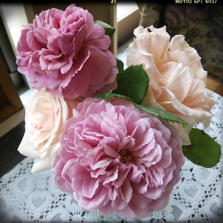 f:id:nhrj:20130524172911j:image