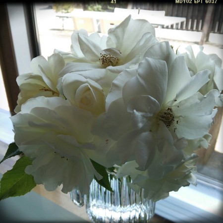 f:id:nhrj:20130524172914j:image