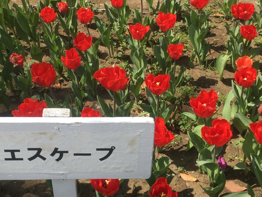 f:id:ni-riku65tibi:20180402095045j:plain f:id:ni-riku65tibi:20180402095045j:plain