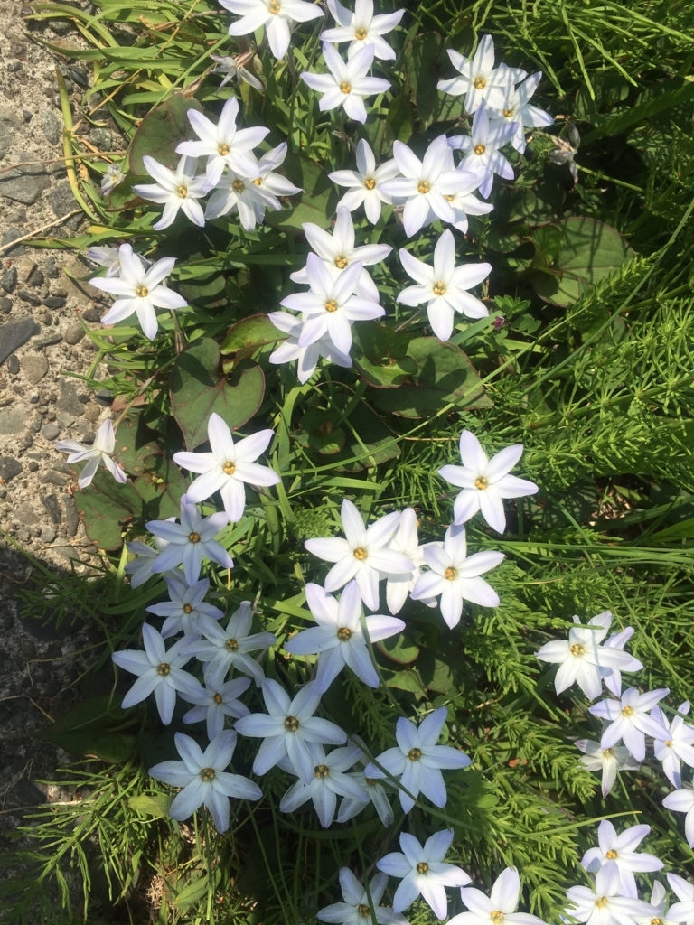 f:id:ni-riku65tibi:20180408094433j:plain f:id:ni-riku65tibi:20180408094433j:plain