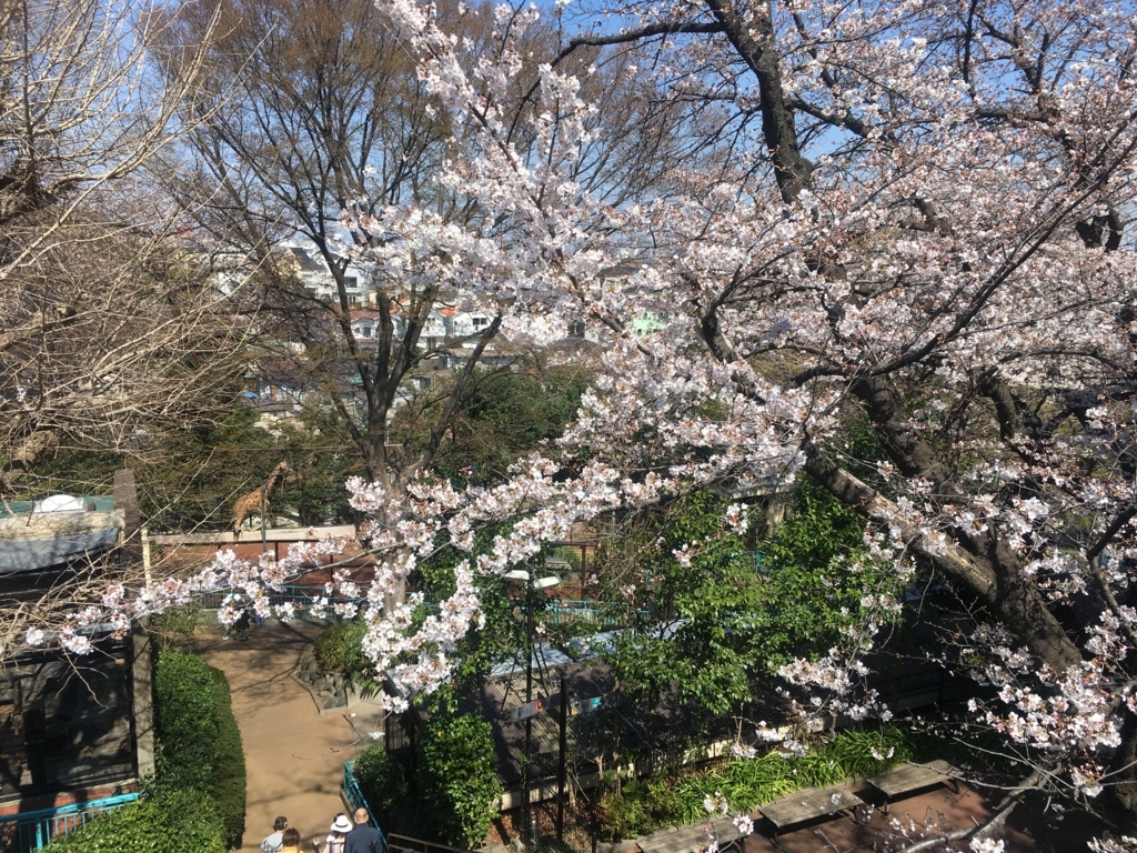 f:id:ni-riku65tibi:20180411095621j:plain f:id:ni-riku65tibi:20180411095621j:plain