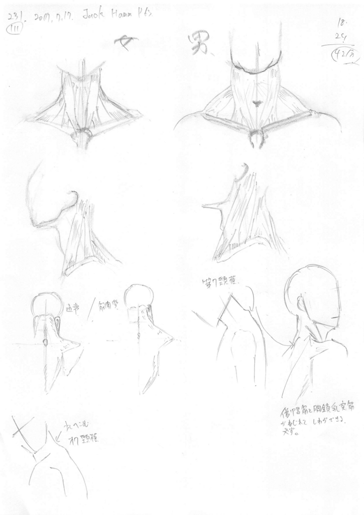 やさしいジャックハム 大人になってゼロから初めるお絵かき