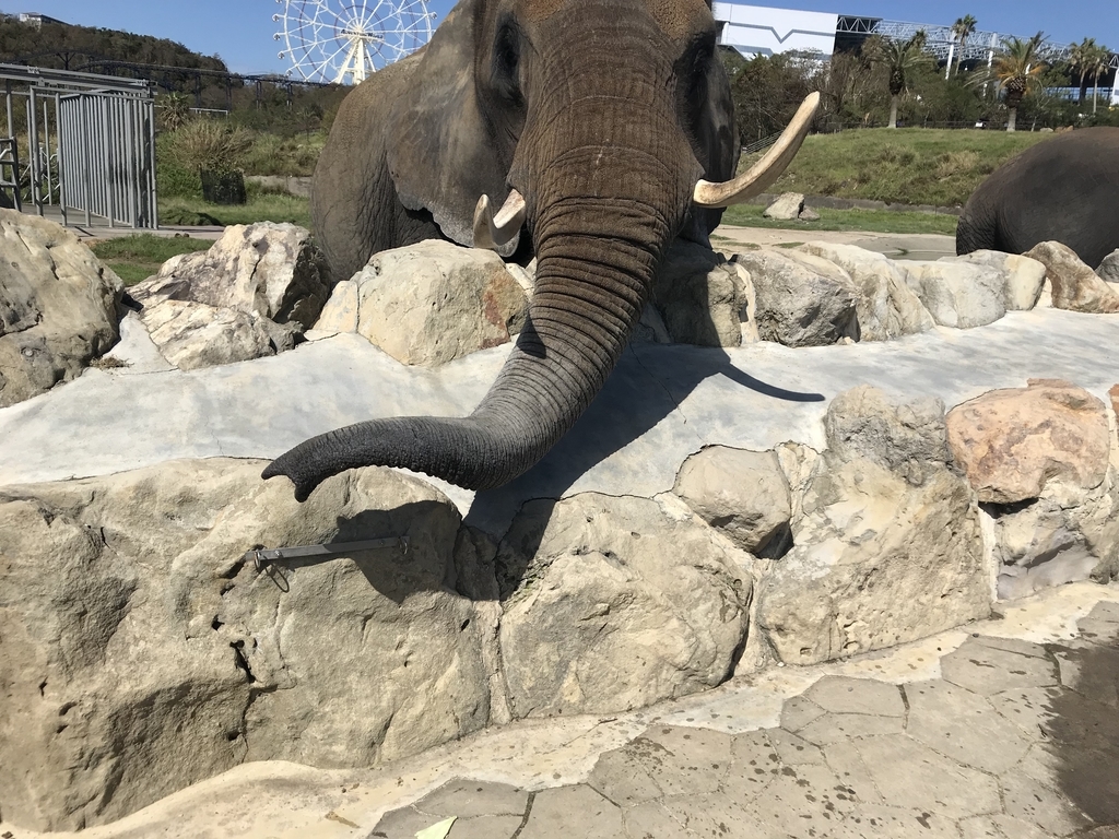 f:id:niagzoo:20181002170525j:plain f:id:niagzoo:20181002170525j:plain