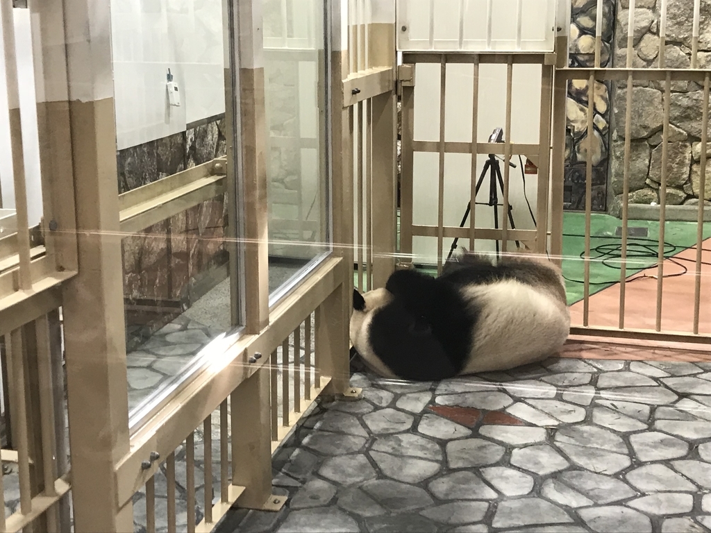 f:id:niagzoo:20181002170643j:plain f:id:niagzoo:20181002170643j:plain