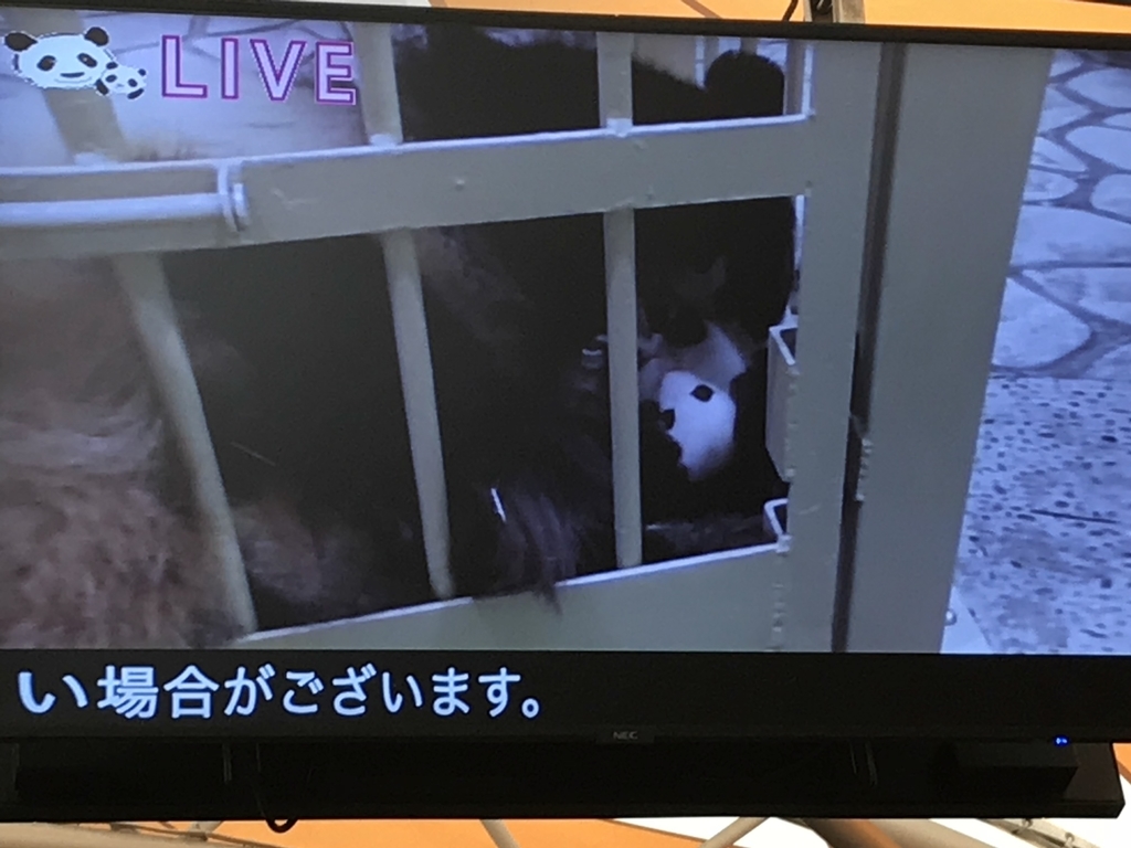 f:id:niagzoo:20181002170928j:plain f:id:niagzoo:20181002170928j:plain