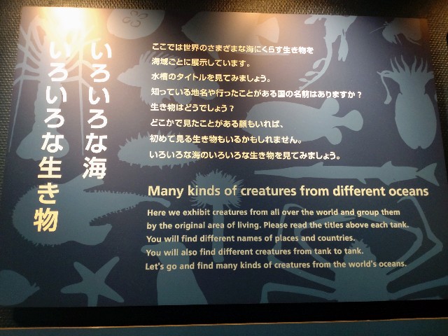 f:id:niboshiNIBOSHI:20250427223309j:image