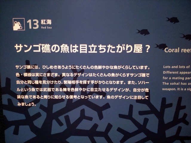 f:id:niboshiNIBOSHI:20250427223330j:image