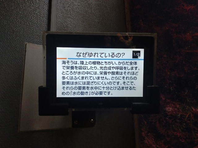 f:id:niboshiNIBOSHI:20250427223927j:image