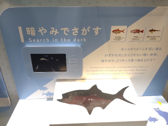 f:id:niboshiNIBOSHI:20250427224137j:image