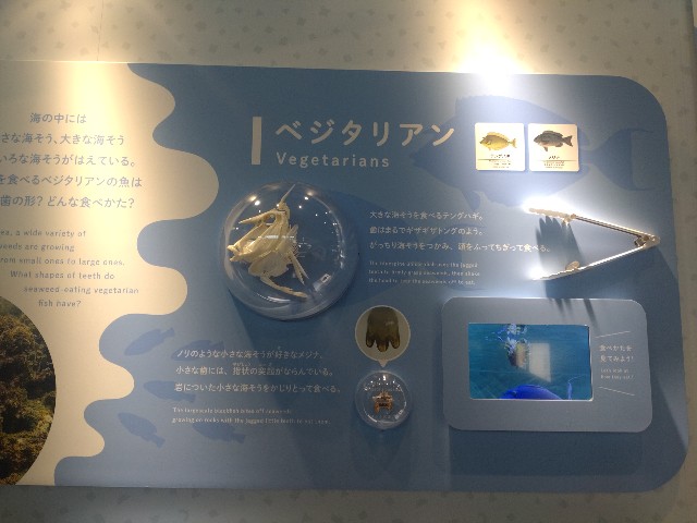 f:id:niboshiNIBOSHI:20250427224325j:image