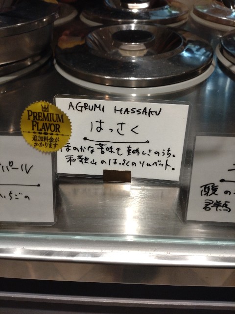f:id:niboshiNIBOSHI:20250429180438j:image