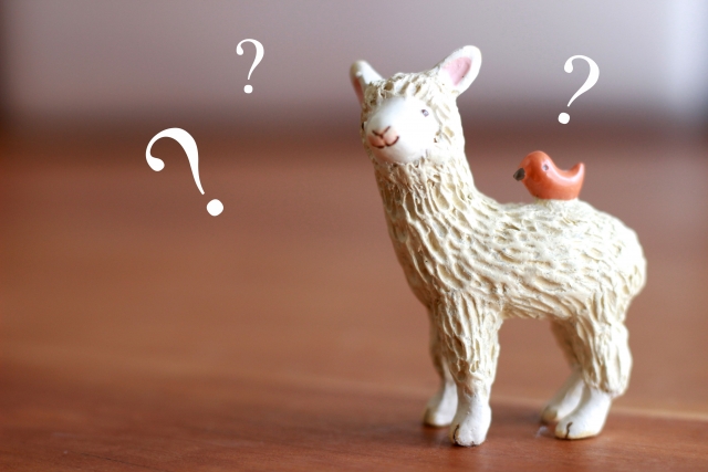 怖い夢を見るのはなぜ ４つの理由と対策を知って心と体を守ろう くるてぃぷ L I F E