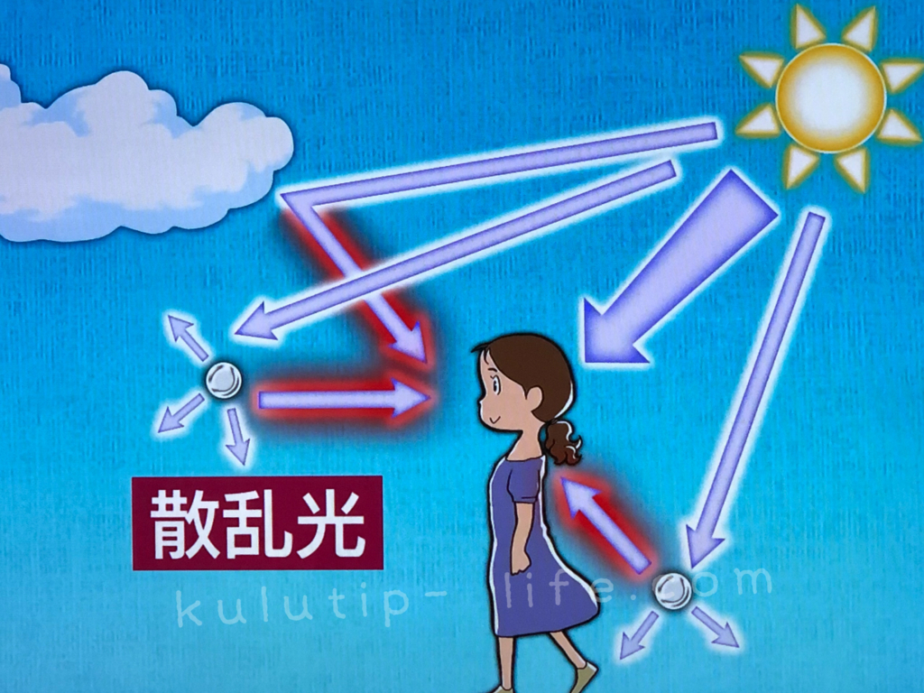 日傘 は色が大事 紫外線カット効果up 日焼け対策におすすめの日傘とは くるてぃぷ L I F E