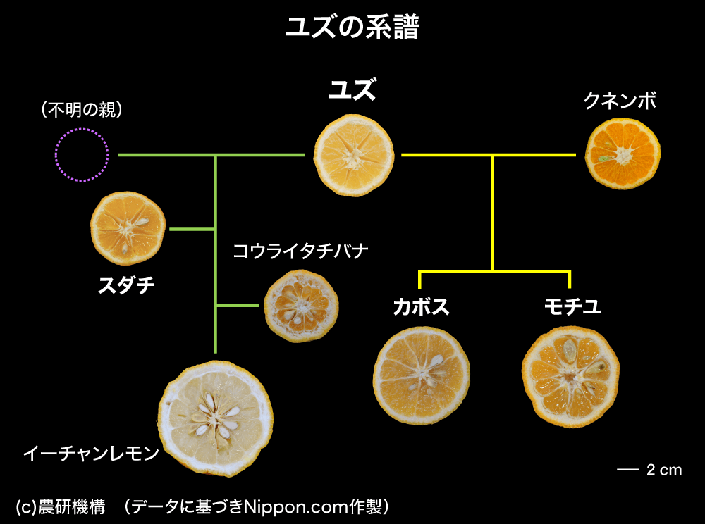 こうこう - はなうたまじり