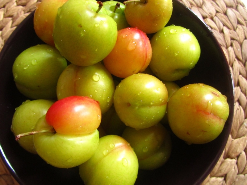 f:id:nicetomeetyou:20120601153735j:image f:id:nicetomeetyou:20120601153735j:image