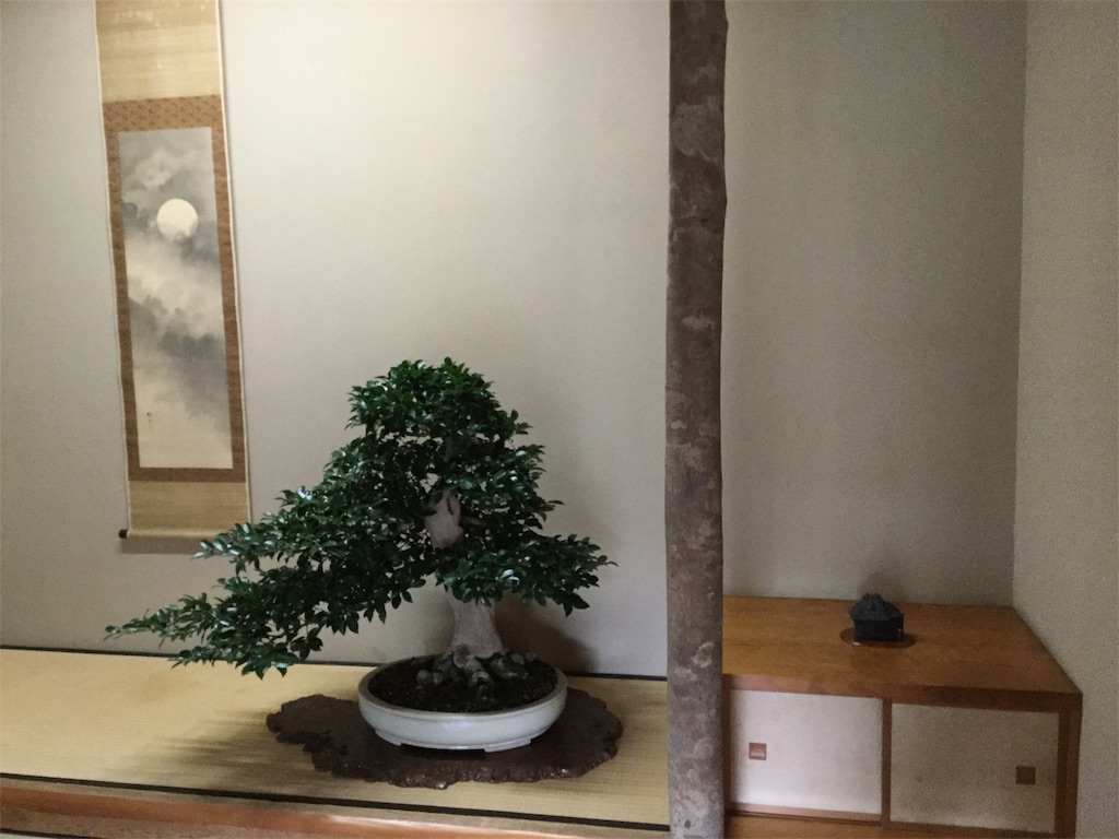 盆栽ヲタクのスペイン人を春花園bonsai美術館に連れて行く ニッチでごめんね