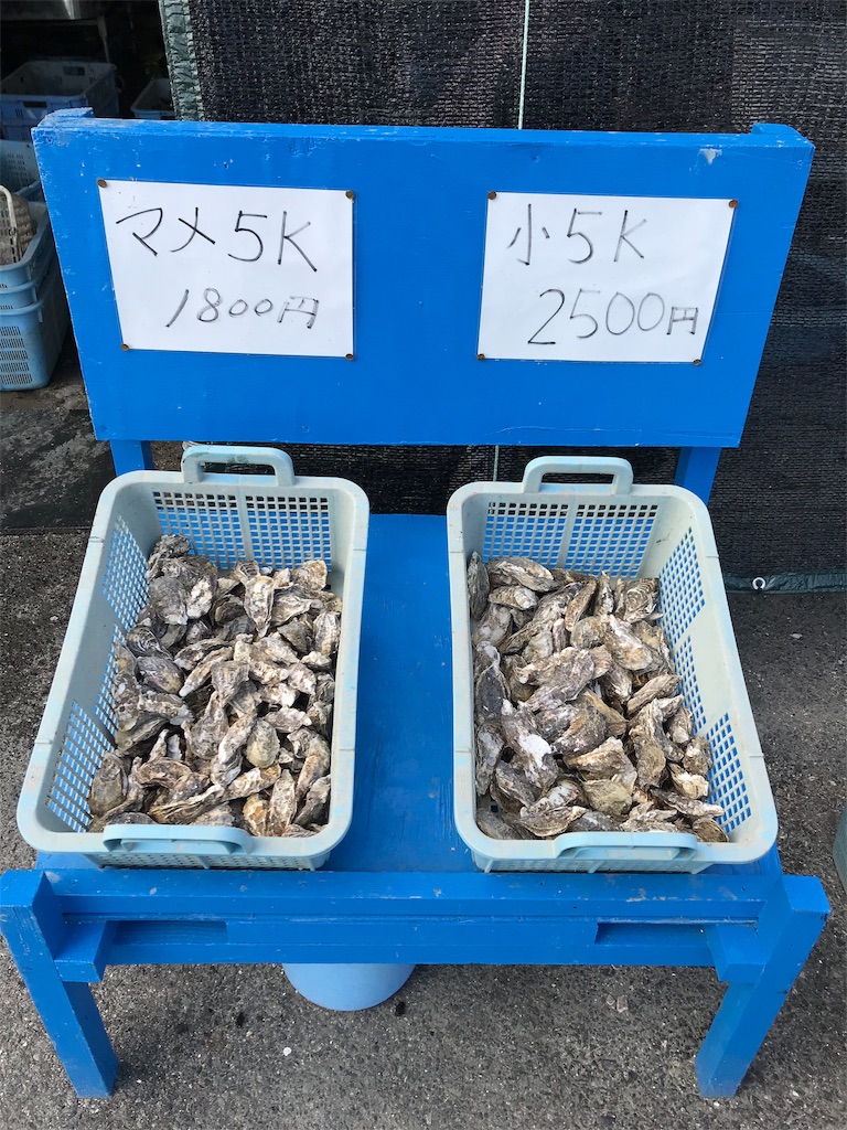 f:id:nichicon:20191129220032j:image