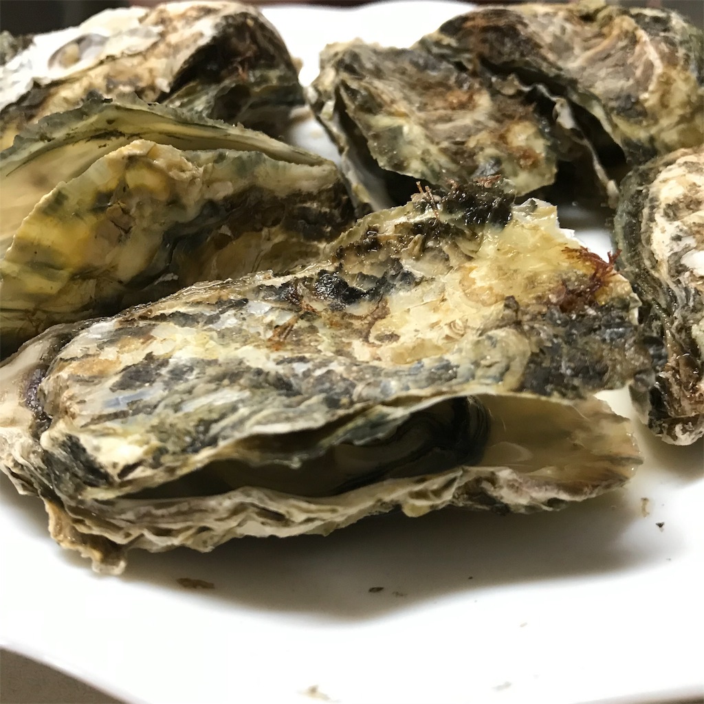 f:id:nichicon:20191129222943j:image