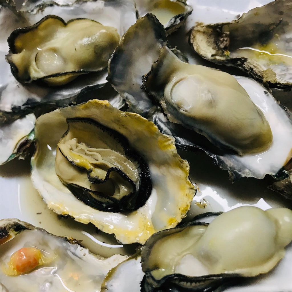 f:id:nichicon:20191129223222j:image