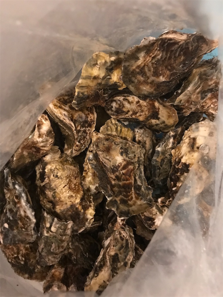 f:id:nichicon:20191129223624j:image