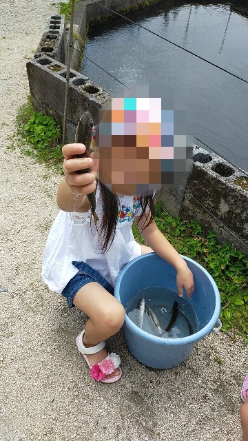 新見市 釣り堀石田 花見養魚センターへ行ってきた 自分で釣ったアマゴをまるごと全部食べられる まんぷくいちこの岡山ブログ