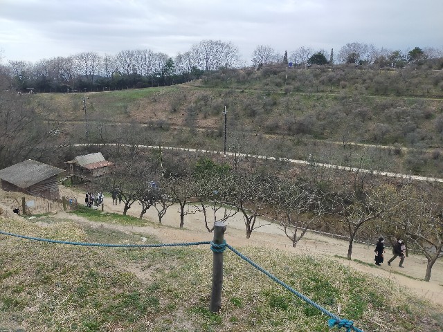 f:id:nichicon:20210430070255j:image