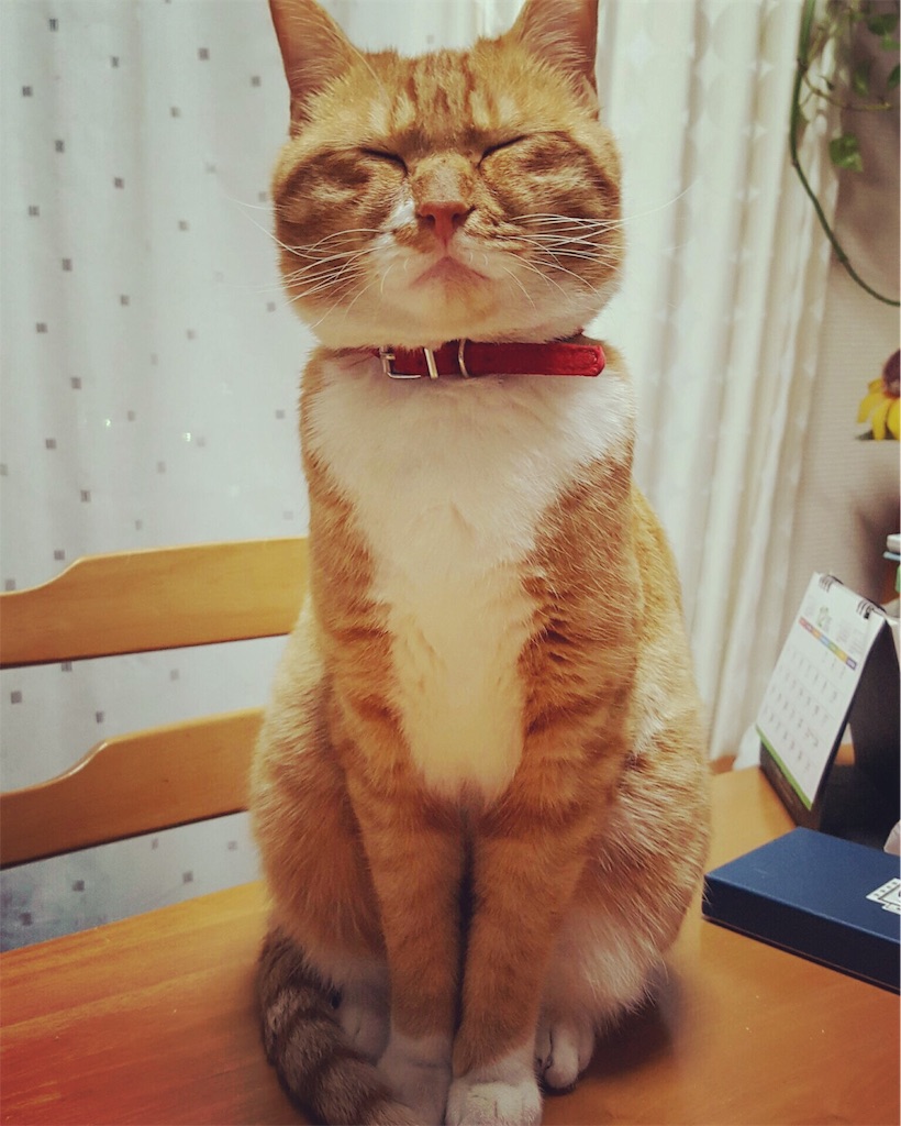 f:id:nichieitaxi:20170118184653j:plain