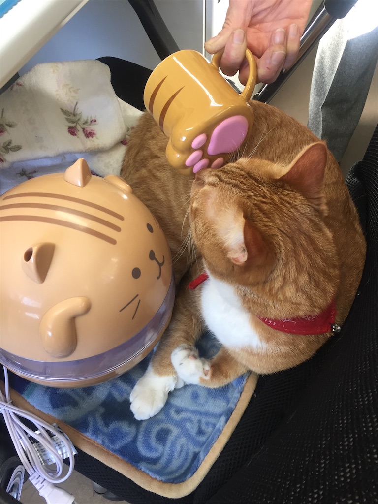 f:id:nichieitaxi:20170118191429j:plain