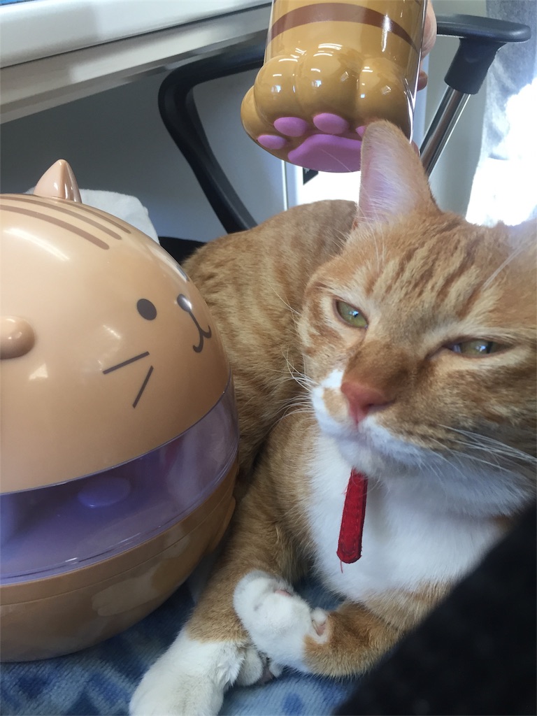 f:id:nichieitaxi:20170118191453j:plain