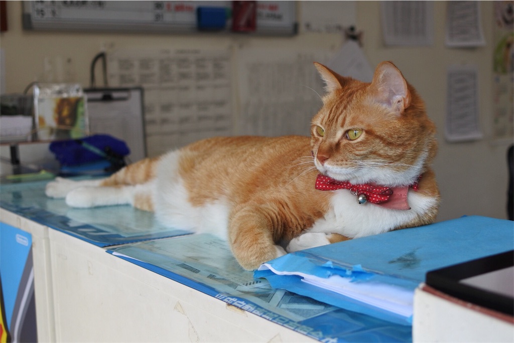 f:id:nichieitaxi:20180429151309j:plain